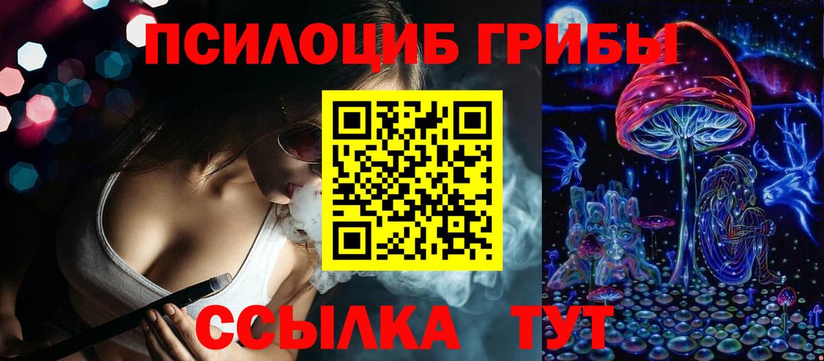 Псилоцибиновые грибы мухоморы  Вход с VPN  Кингисепп  Галлюциногенные грибы мухоморы 